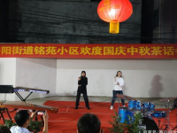 私密茶话会横幅怎么写,揭开神秘面纱的温馨时光